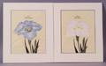 AmericanEuropean School 20th Century Lot of Two Floral Prints Samidare
