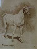 Framed Etching Depicting a Horse