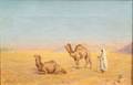 Continental School 19th20th Century Desert Camels