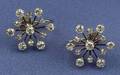 Platinum and Diamond Starburst Earclips