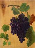 American School 19th Century Still Life with Grapes