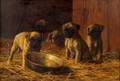 Franklin Whiting Rogers American b 1854 Five Pug Puppies