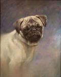 American School 20th Century Portrait of a Pug