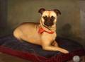 American School 19th Century Pug with a Ball of Yarn