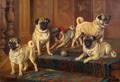Wilson Hepple British 18531937 The Swarland Pugs