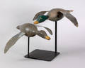 Pair of flying mallard duck decoys early 20th c