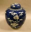 Chinese Blue and White Prunus Decorated Porcelain Covered Jar