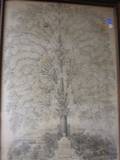 Framed 1813 Lithograph Genealogical Tree of Isaac Cook