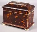 Tortoiseshell Veneer and Ivory Double Tea Caddy