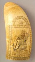 Engraved Whales Tooth