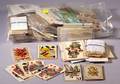 Large and Miscellaneous Collection of Playing Cards and Playing Card Ephemera