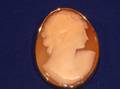 Gold and Shell Cameo Portrait Brooch