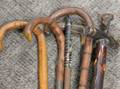 Seven Assorted Walking Sticks and Canes