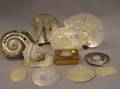 Eleven Decorative Cameo and Carved Shell Items