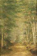 Adelaide Coburne Palmer American 18511928 Birch Lined Path to the Woods