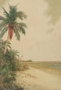 Hartwell Leon Woodcock American 18531929 Caribbean Beachscape