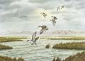 Rolland Luke Dingman American b 1947 Pintails