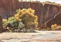James Boren American 19211990 Rest Stop in Canyon de Chelly