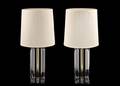 Pair of Mid Century Modern Acrylic  Brass Lamps