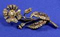 Victorian Brooch
