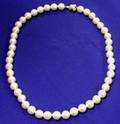 Cultured Pearl Necklace