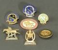 Collection of Race Club Badges