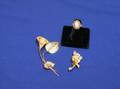 Two Gold Floral Brooches with Pearl Accents and a Cameo Ring