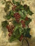 American School 19th Century Grapes