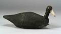 Primitive Carved Roothead Coot Decoy