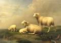 Franz Van Severdonck Belgian 18091889 Sheep and Ducks Before a Pond