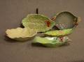 Five Carlton Ware Leafform Ceramic Dishes