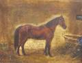 Framed Oil Portrait of a Horse
