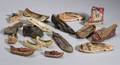 Interesting Collection of Seventeen Antique Shoes