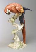 Rosenthal Porcelain Figure of a Parrot
