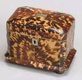 Late Georgian Tortoiseshell Veneered Tea Caddy