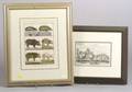 Two Framed Bookplates of Wild Pigs