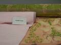 Lot of French 19th and 20th Century French Silk Brocade Fragments and Rolls