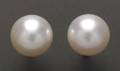 South Sea Pearl Earrings