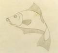 Maurits Cornelis Escher Dutch 18981972 Sketch for Fish