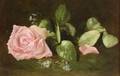Emily McGary Selinger American 18481927 Still Life with a Pink Rose