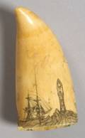 Engraved Whales Tooth