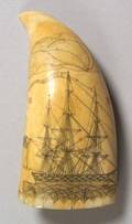 Engraved Whales Tooth