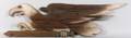 Carved and Painted Wood Bald Eagle Plaque