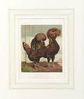 Eight Framed Lithographs of Prize Poultry