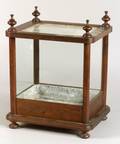 Victorian Walnut Terrarium