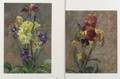 J Alfonso ChileanAustralian b 1934 Lot of Two Floral Still Lifes with Iris
