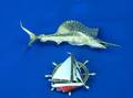 18kt Sailfish Pin and Enameled Yachting Pin