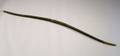 Plains Carved Wooden Double Curved Bow