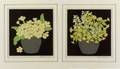 John Hall Thorpe Australian 18741947 Lot of Two Floral Still Lifes Yellow Primroses