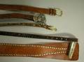 Group of Miscellaneous Womens Leather and Reptile Belts